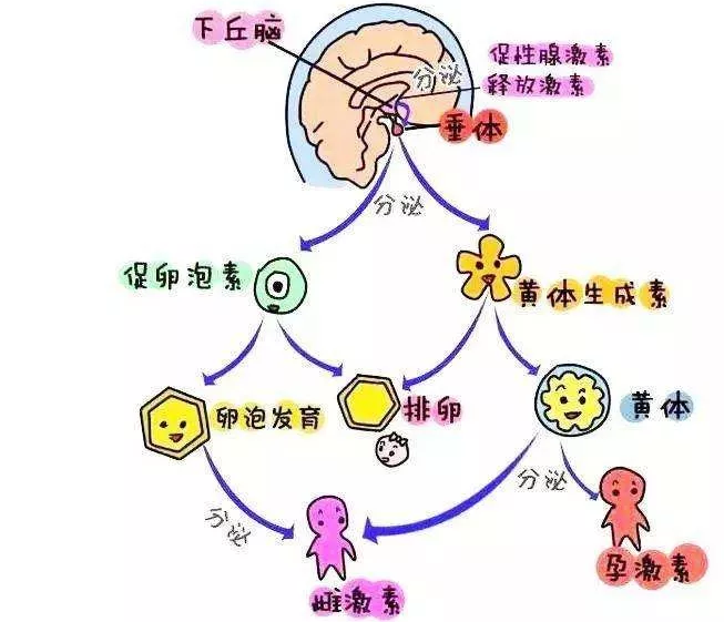 重庆送子鸟医院