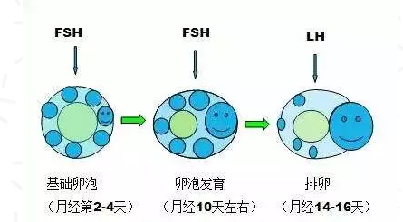 重庆送子鸟医院